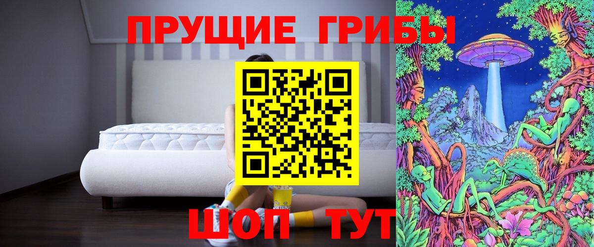 Галлюциногенные грибы Psilocybe Павловский Посад